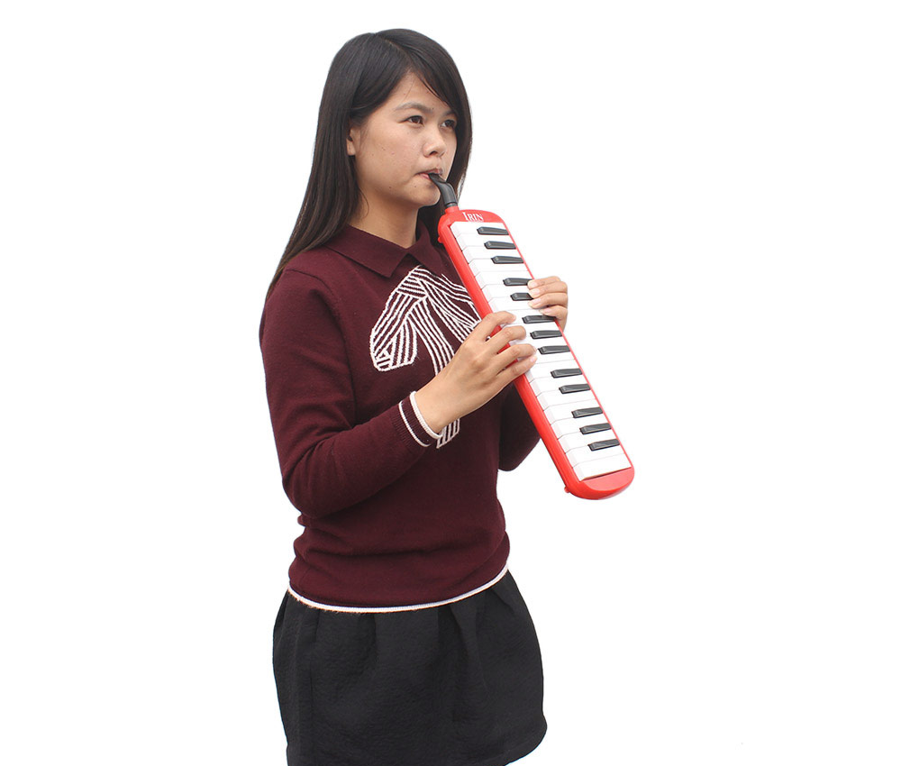 IRIN Portable 32 Key Melodica Student Class Harmonica with Bag