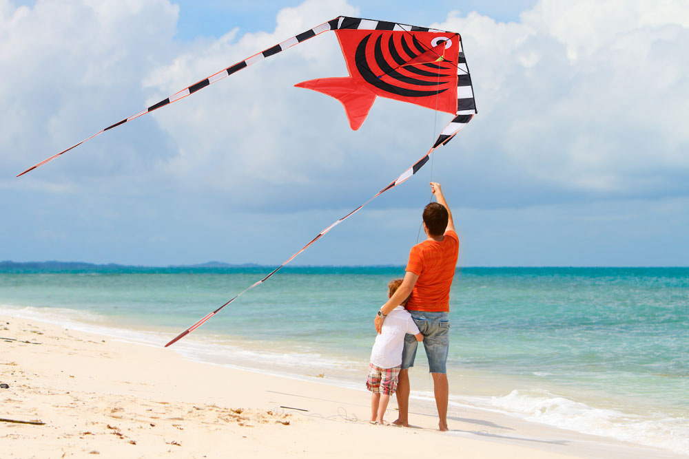 1.9m Carbon Steel Batfish Style Flying Kite Toy