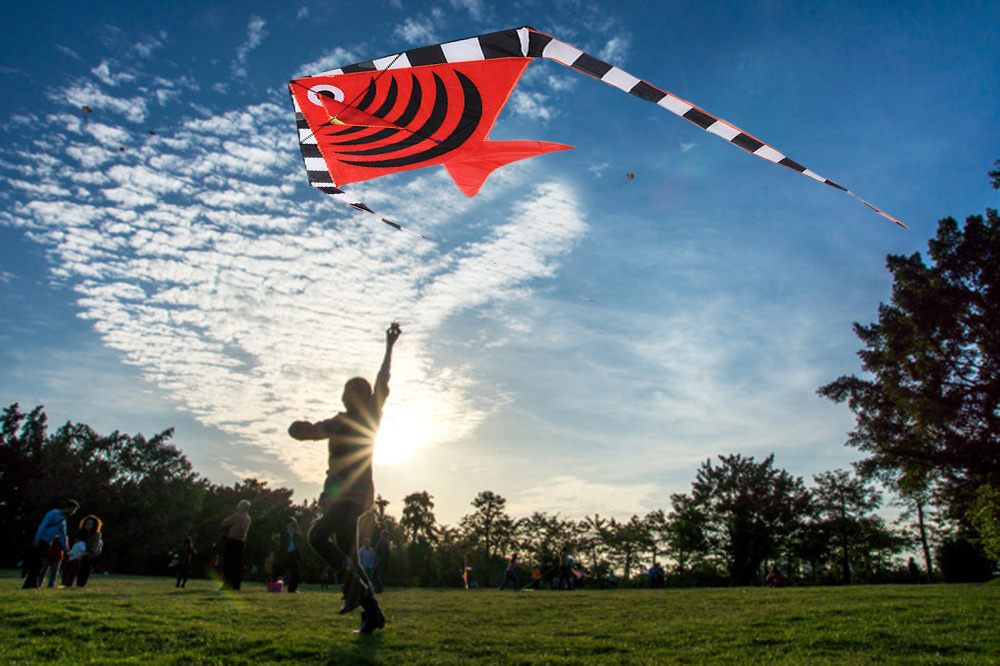 1.9m Carbon Steel Batfish Style Flying Kite Toy