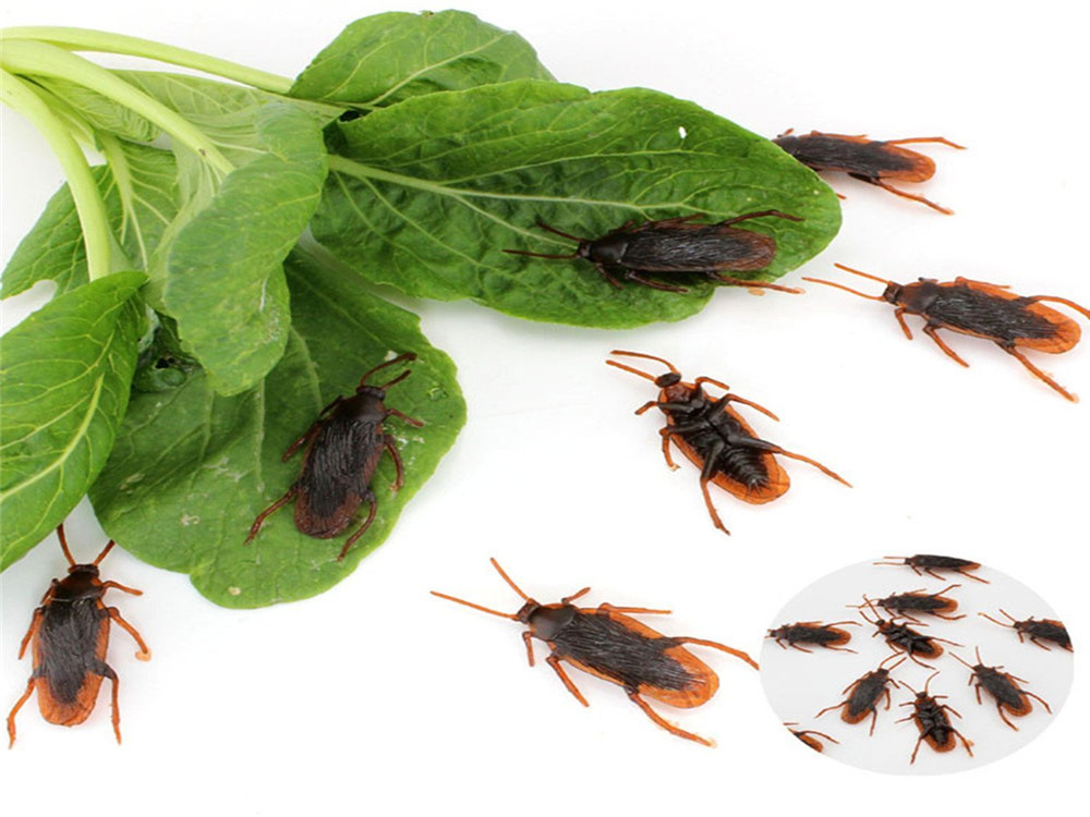 Simulation Cockroach Funny Tricky Prop Ornaments Practical Jokes Halloween Toys Simulation Cockroach Funny Tricky Prop Ornaments Practical Jokes Halloween Toys