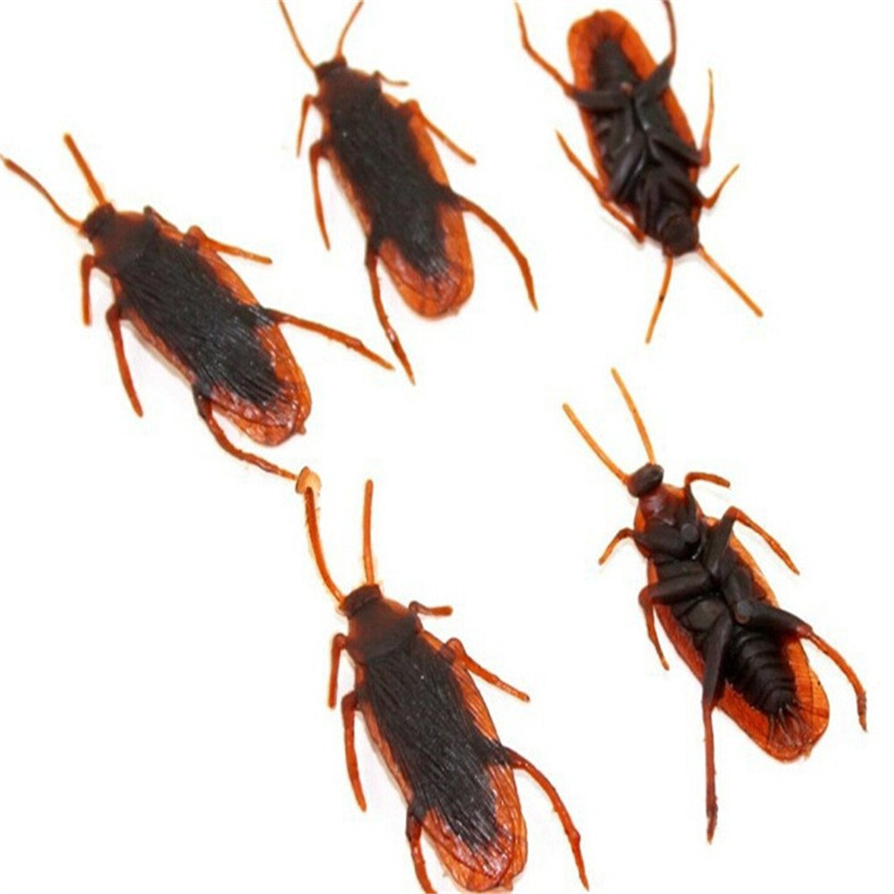Simulation Cockroach Funny Tricky Prop Ornaments Practical Jokes Halloween Toys Simulation Cockroach Funny Tricky Prop Ornaments Practical Jokes Halloween Toys