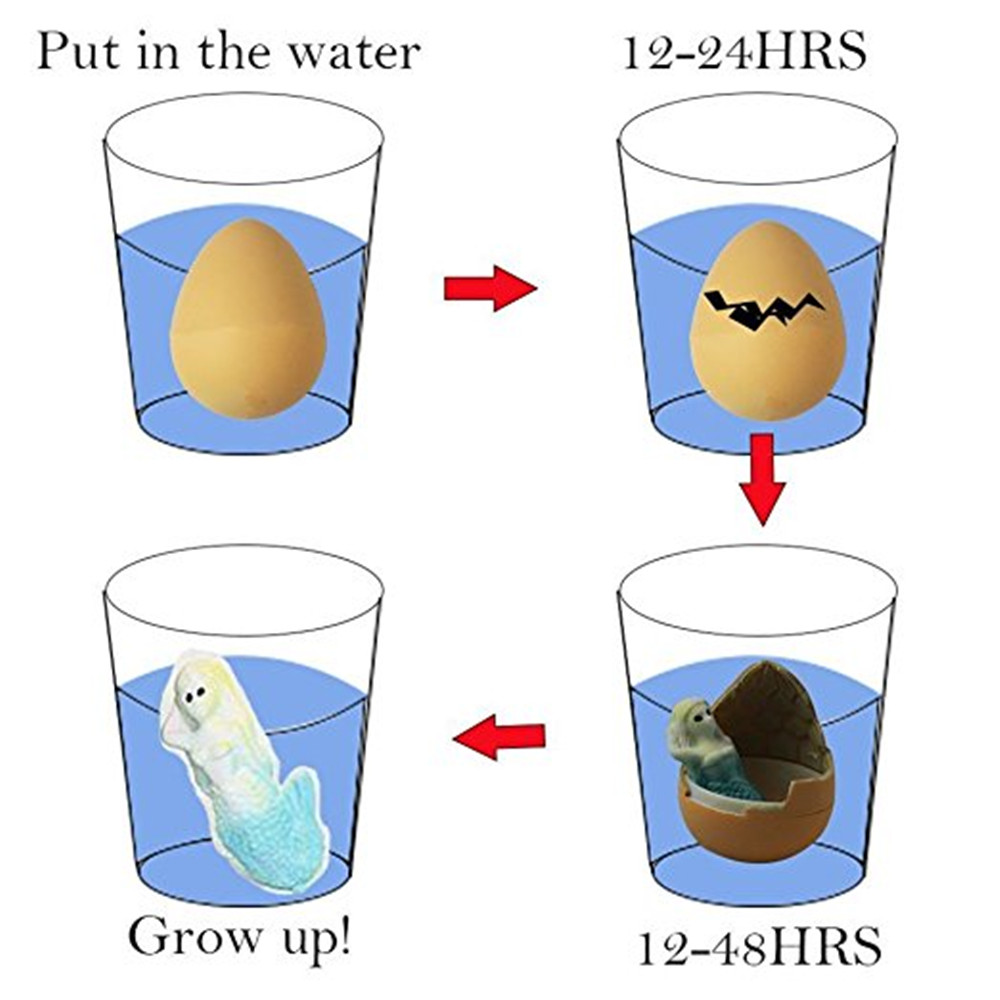 Mermaid Water Growing Hatching Colorful Egg Mermaid Water Growing Hatching Colorful Egg