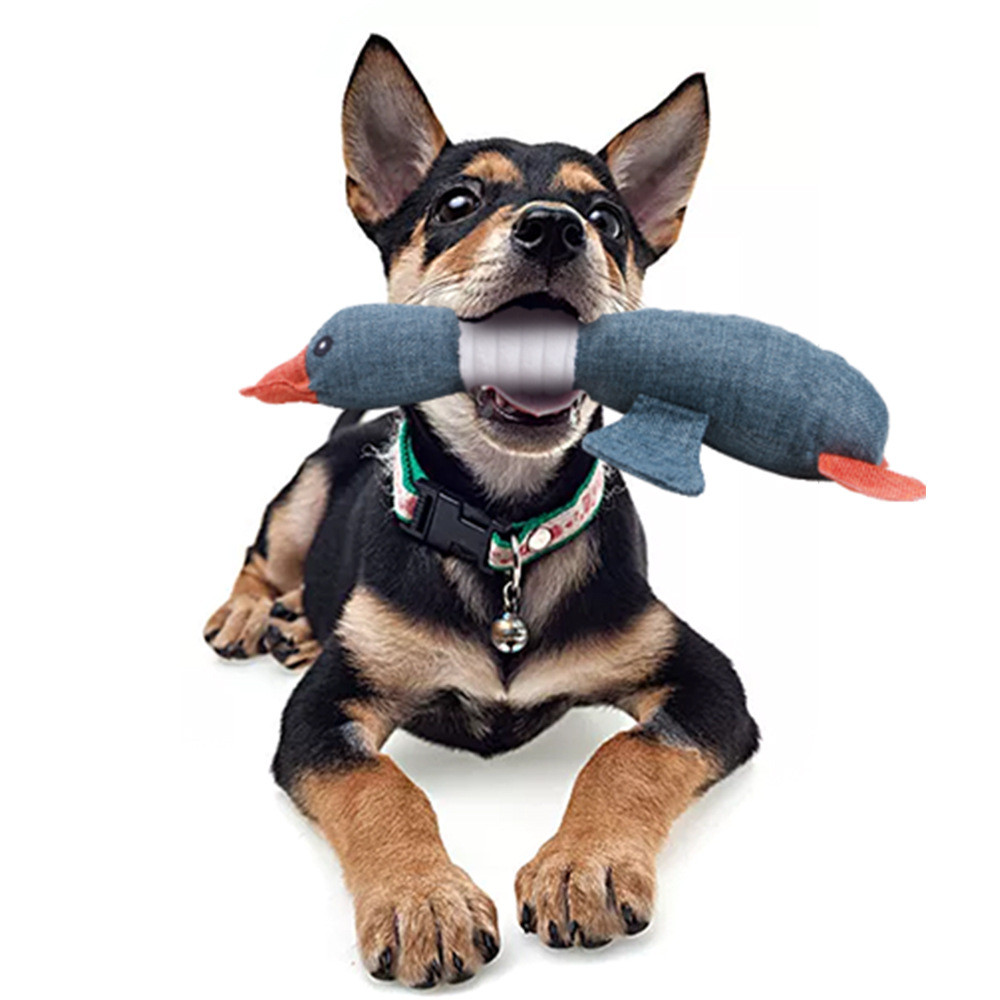 Dog molar geese vocal toy