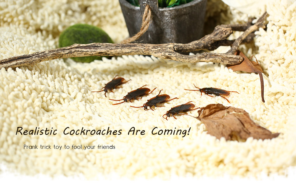 Plastic Artificial Cockroach Realistic Prank Trick Toy for Fools Day Halloween Party 5pcs Plastic Artificial Cockroach Realistic Prank Trick Toy for Fools Day Halloween Party 5pcs