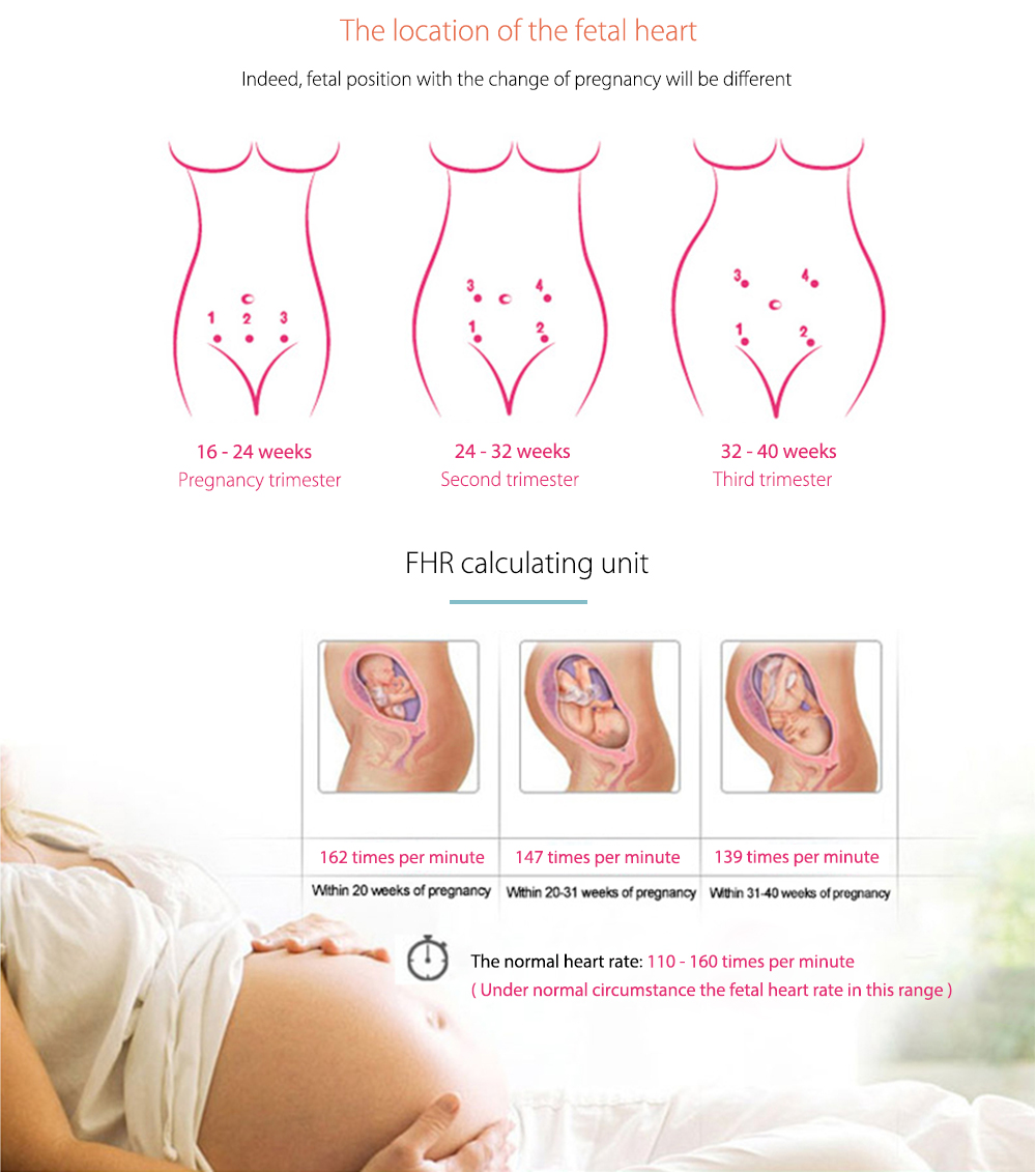 Pregnant Ultrasonic Fetal Doppler Prenatal Heart Rate Monitor for Home Use