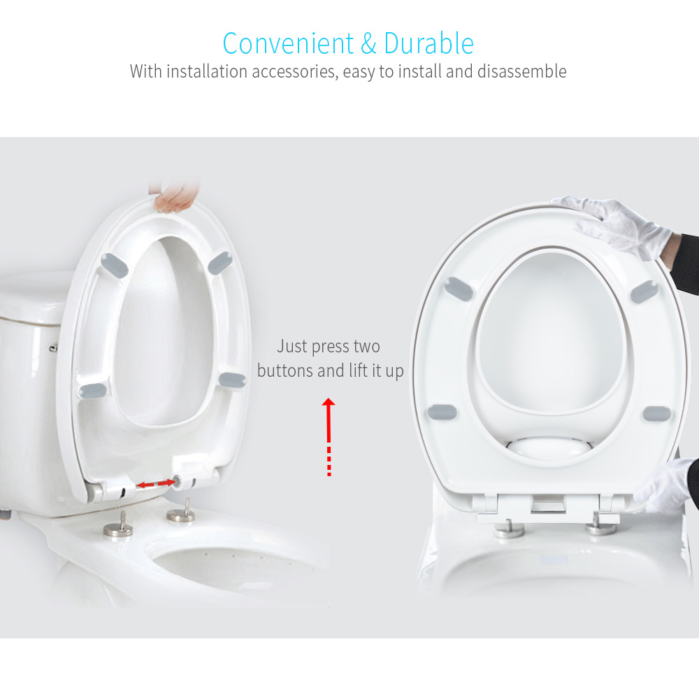Round Adult Toilet Child Potty Training Seat with Cover