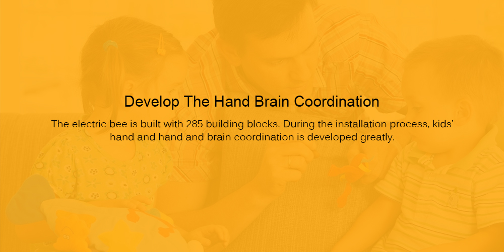 7110 Electric Bee Imitating Crawling Posture Automatic Obstacle Avoidance Assembling Blocks 285PCS 7110 Electric Bee Imitating Crawling Posture Automatic Obstacle Avoidance Assembling Blocks 285PCS