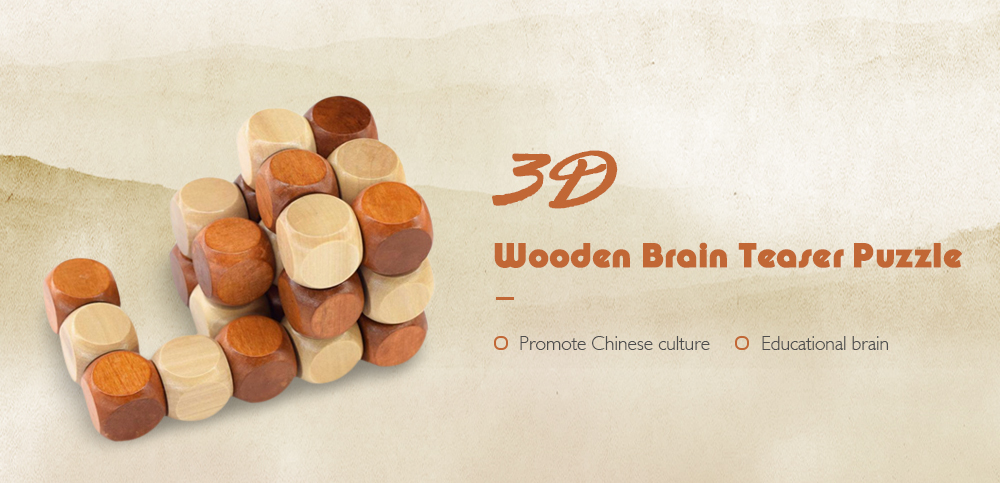 3D Wooden Brain Teaser Puzzle