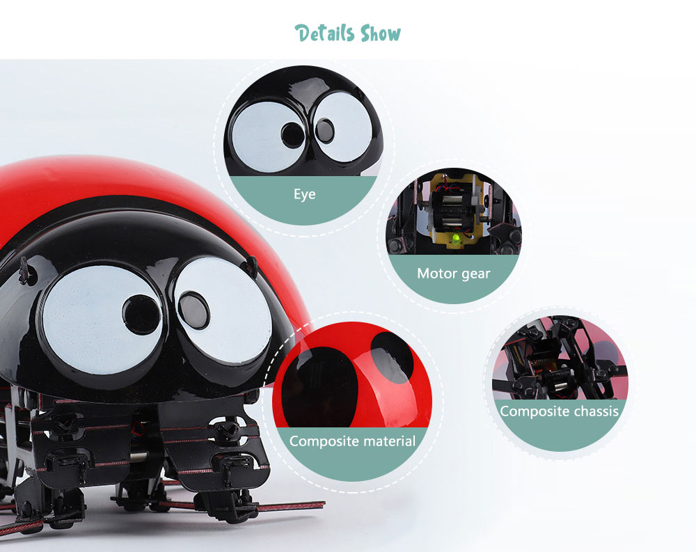 D02 2.4Hz Wireless Ladybug Touch Remote Control Toy for Kids